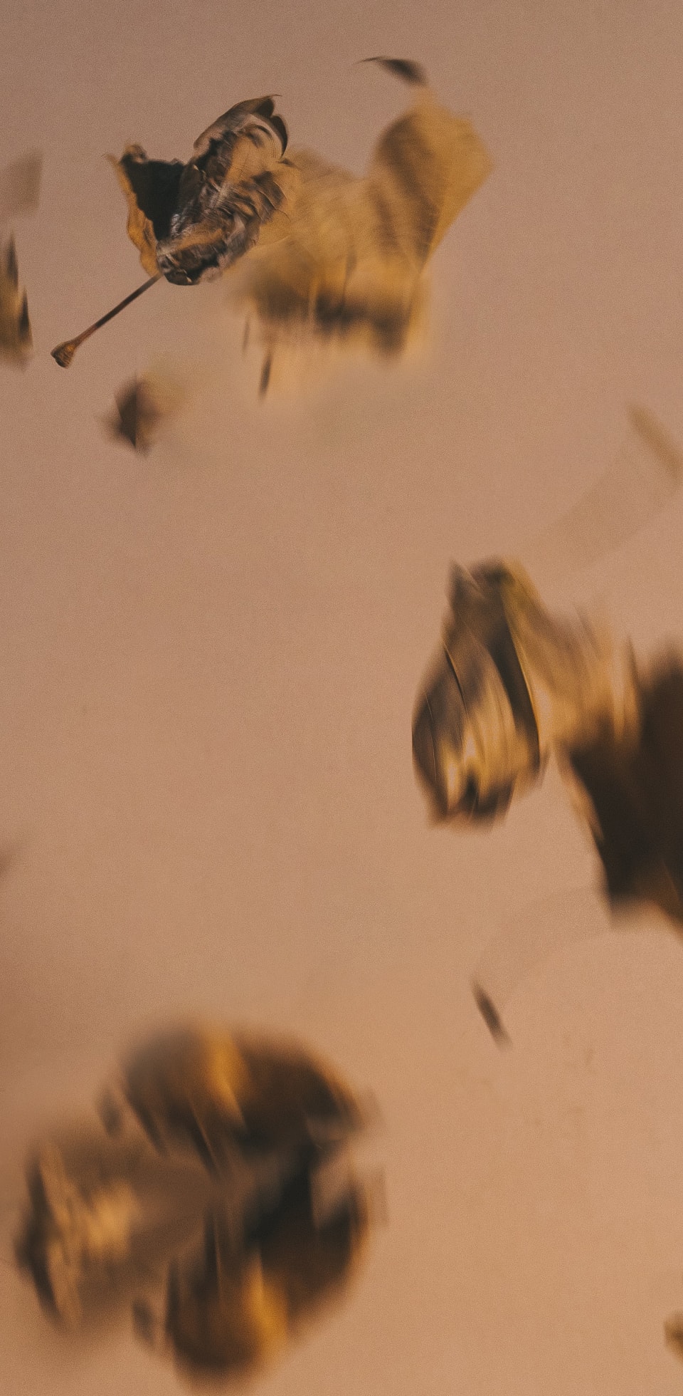 hero-product-bkg.jpg